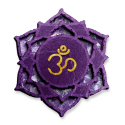 Crown symbol scaled 250